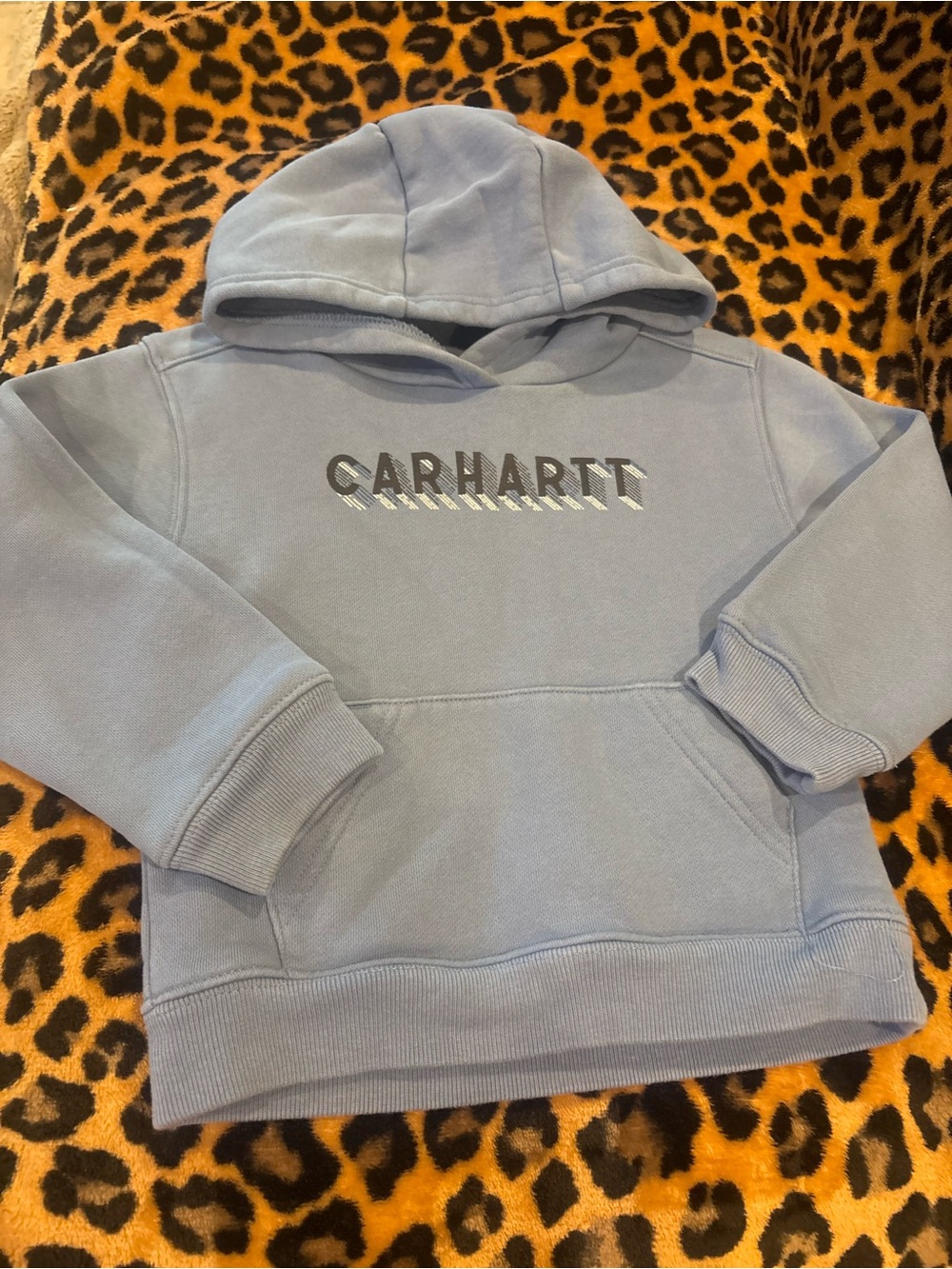Carhartt Light Dusty Blue Logo Pullover Hoodie Toddler 3T